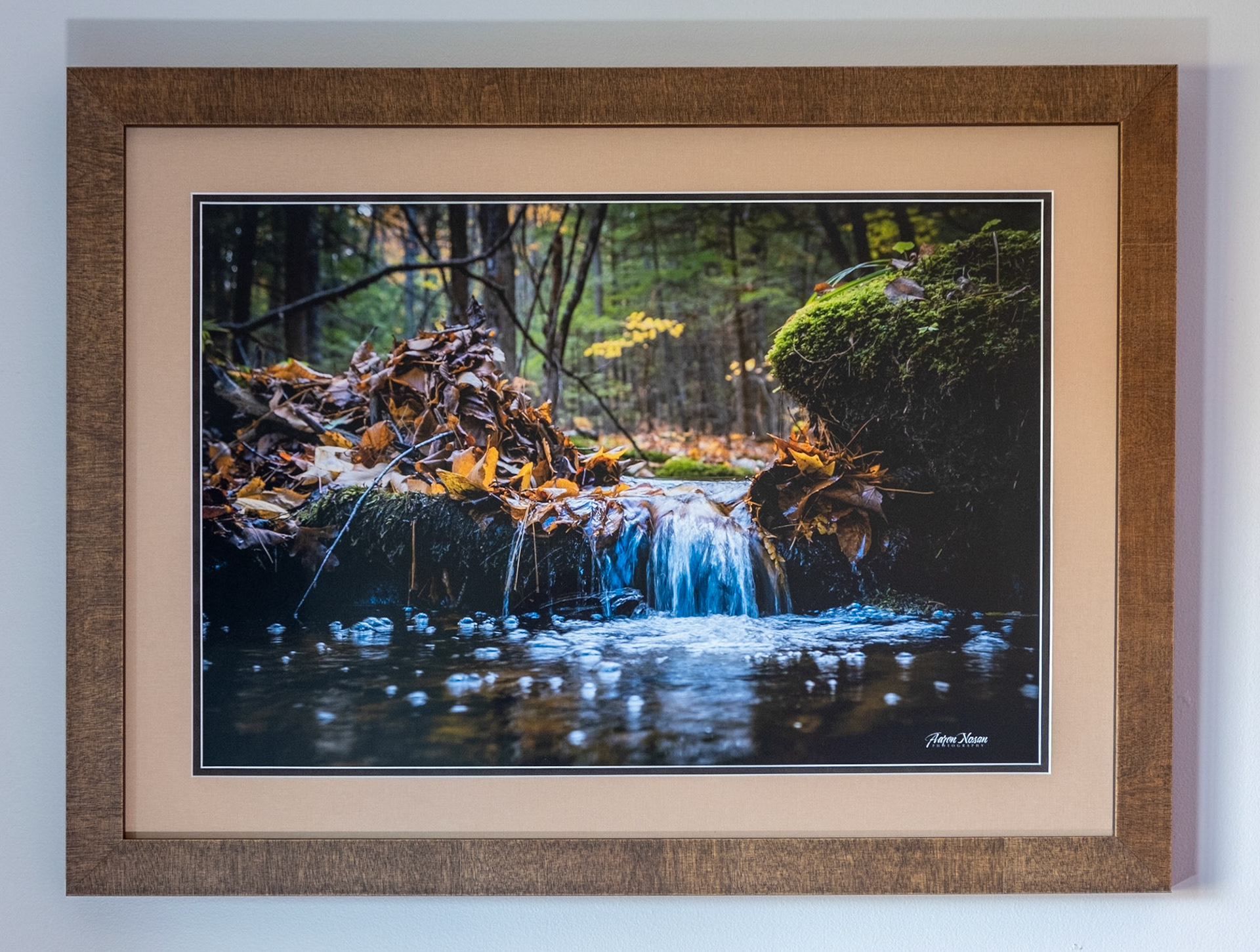 Backyard Falls - Measures 29.25 x 21.75 Price: $375.00