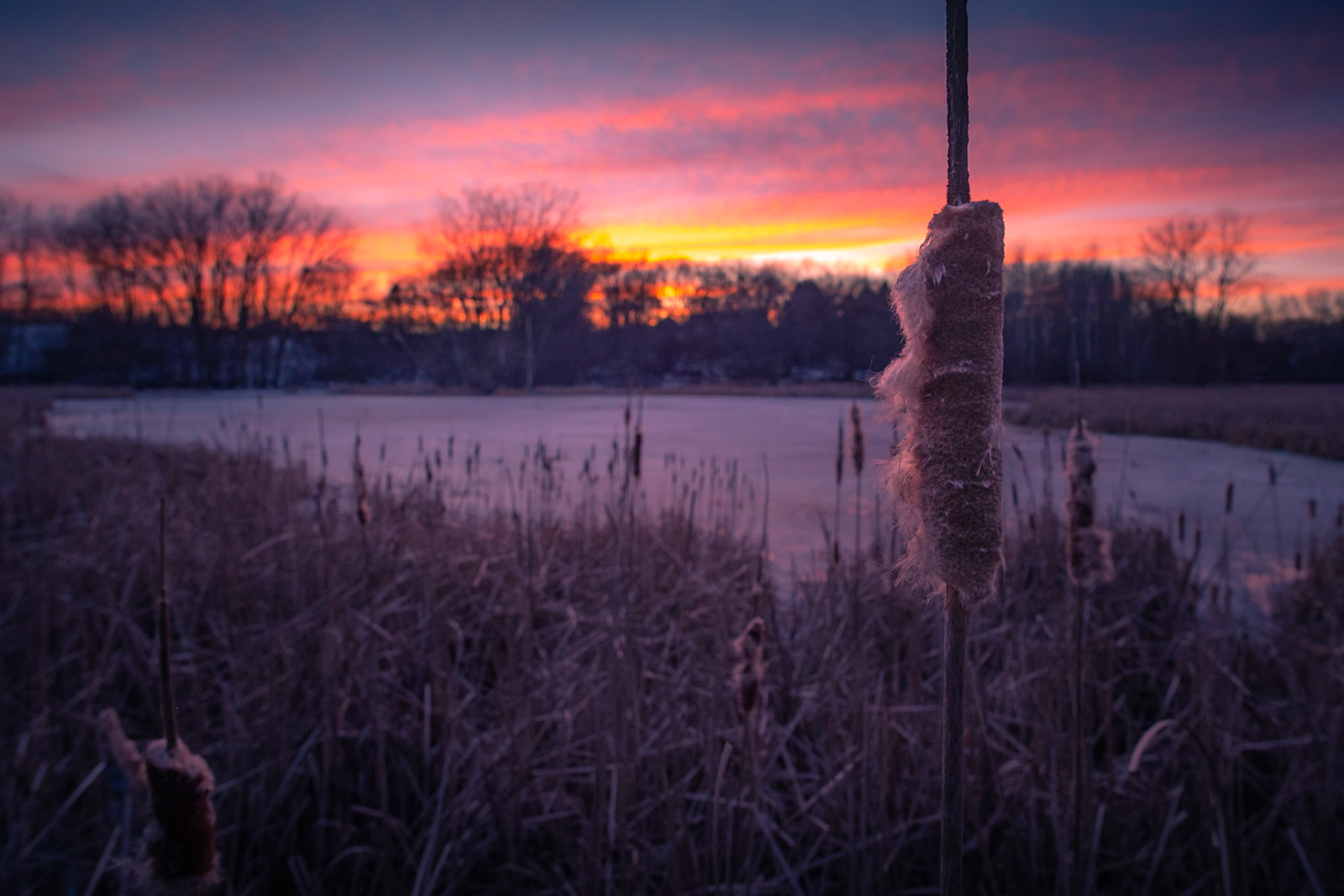 Spring is in the air.