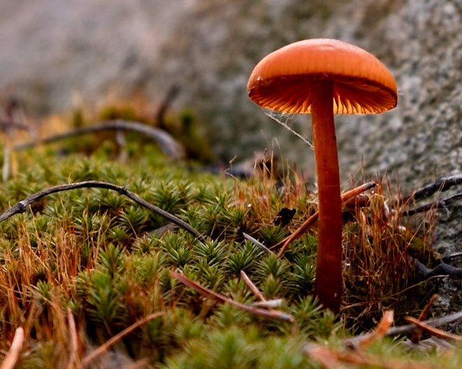 Don't forget the little views too!