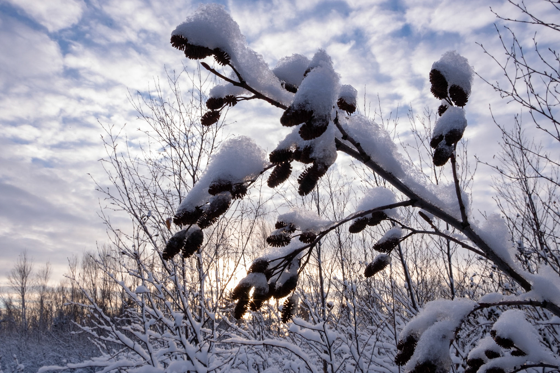 sun set over the frozen north
