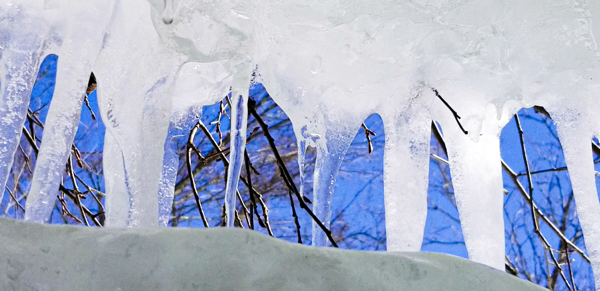 Trying to find Spring through all this Winter.