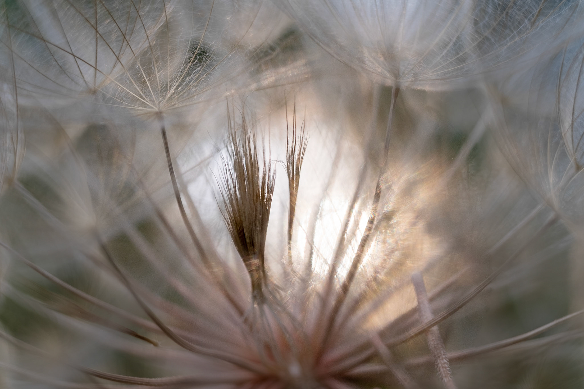 My little version of Haystacks -  Seeds of tomorrow.