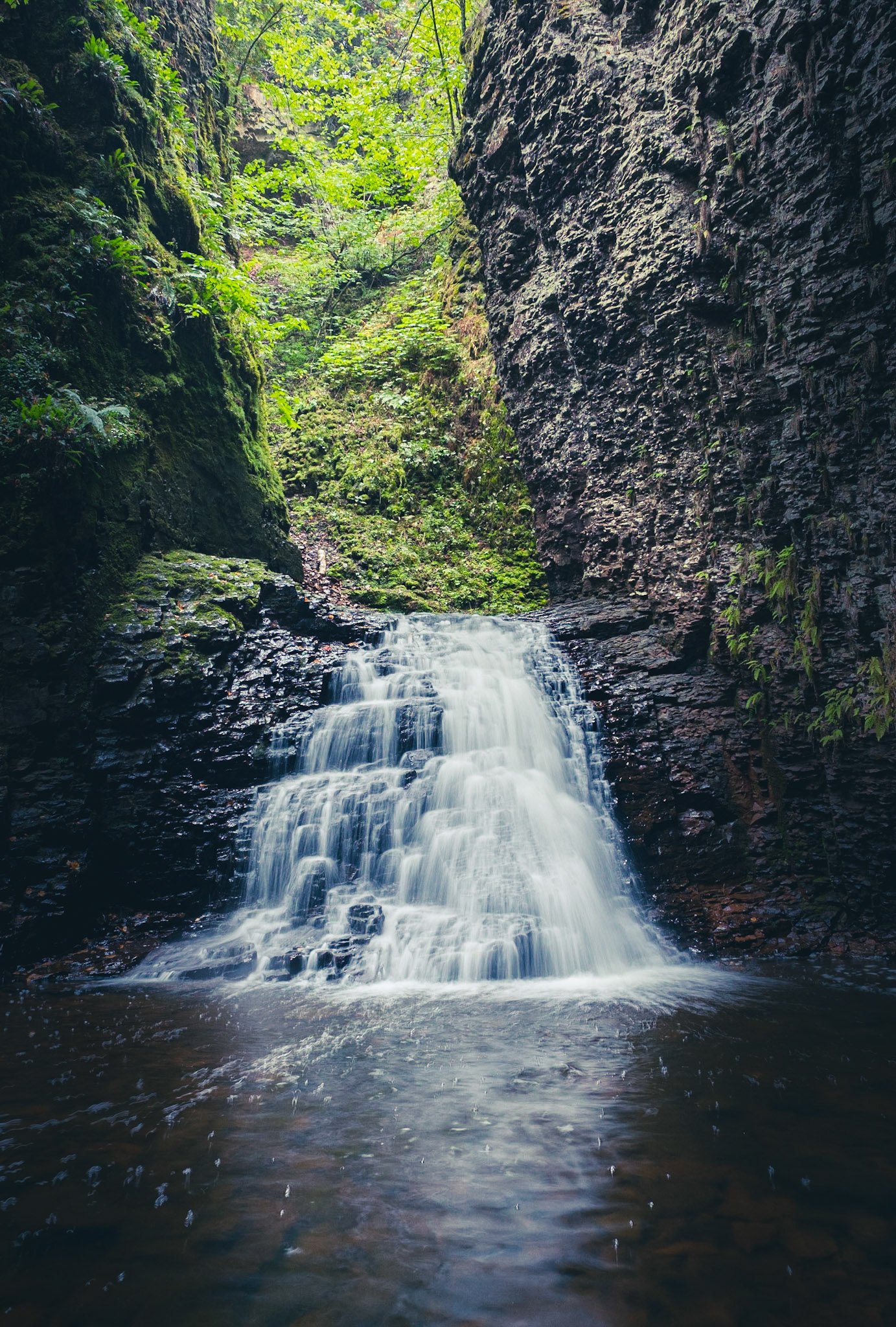 and of course the water here had to get 2 feet deeper than the rest of the stream. But I couldn't turn around without a shot looking straight at it.