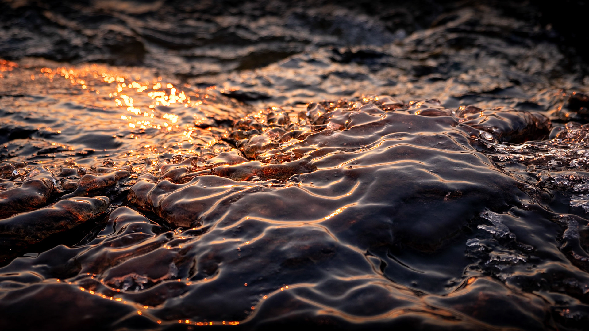 With the sunrise being a little less photogenic than I was hoping for, I turned the camera to the details of the shoreline.