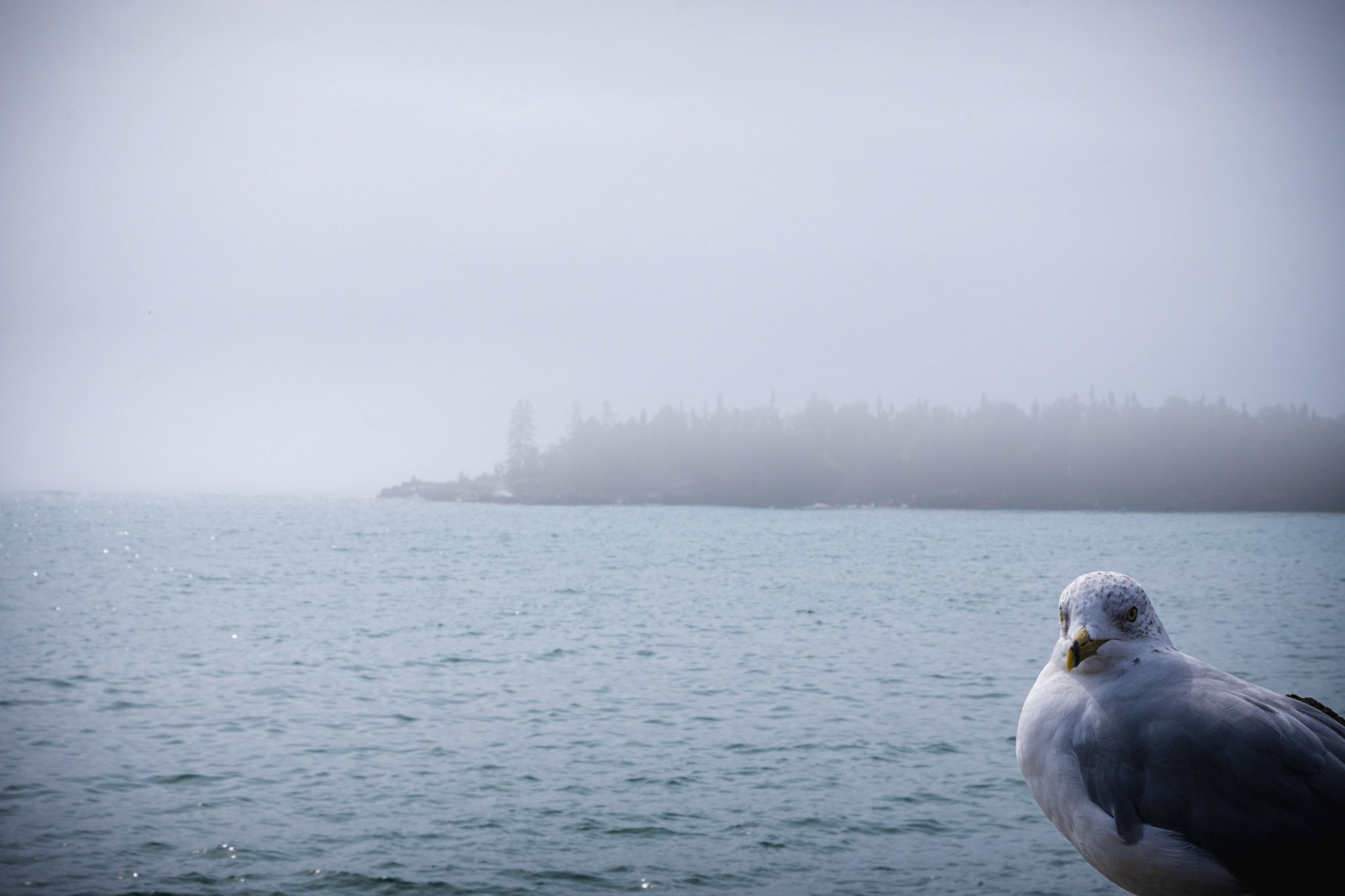 Yeah that's right. I'm taking a picture of you.