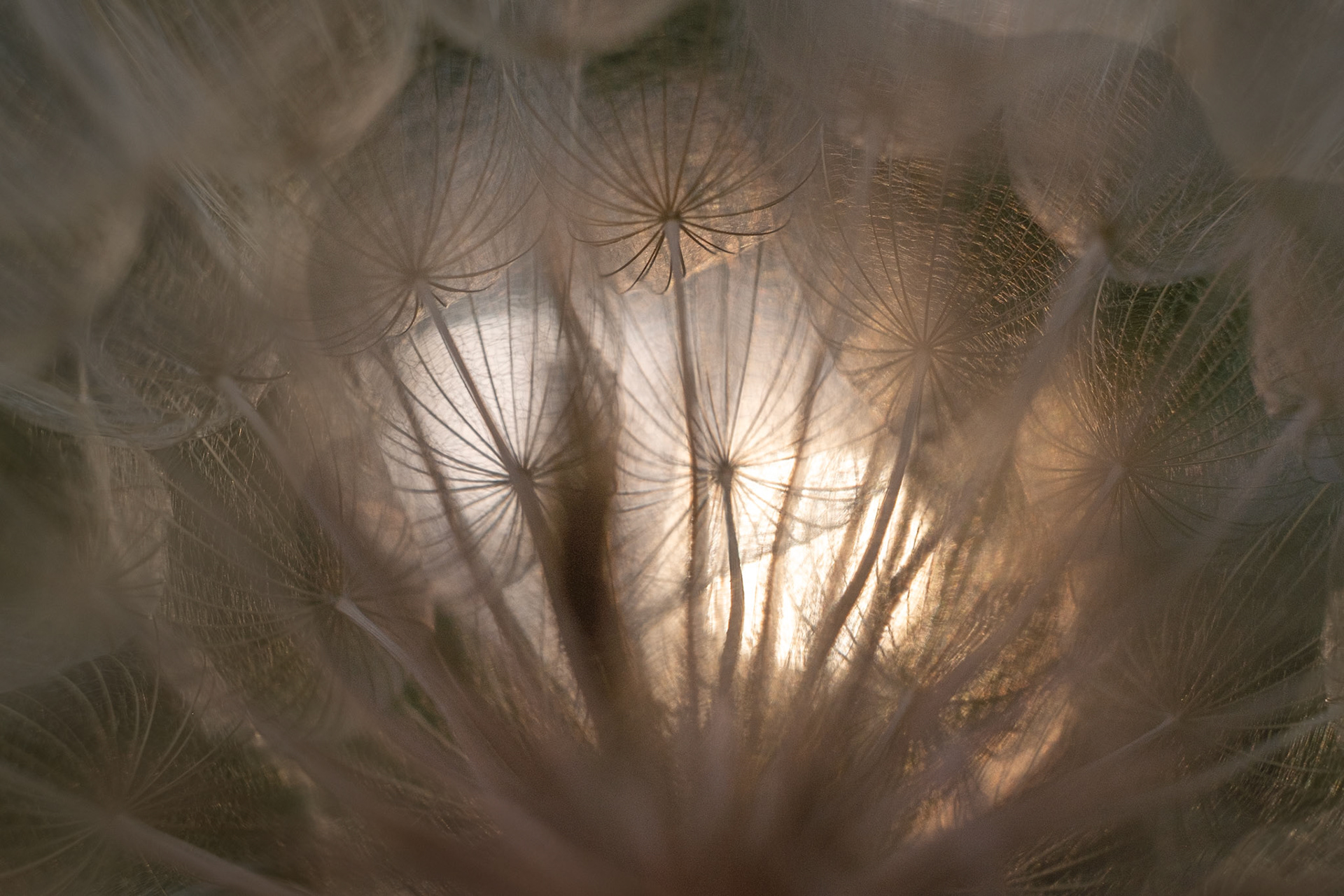 Light at the end of the tunnel -