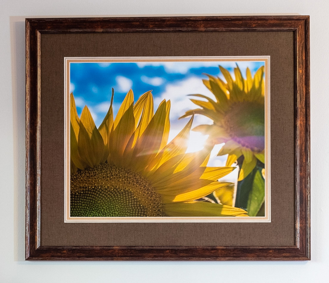 Sunflower Surprise - Measures 28 x 24.25 Price: $450.00