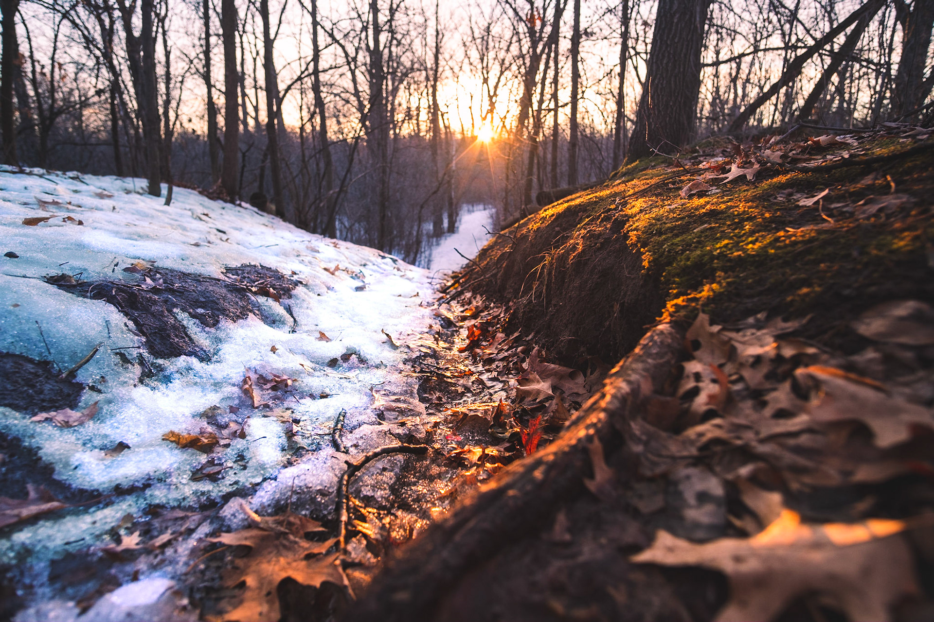 The epitome of the Winter and Spring transition.