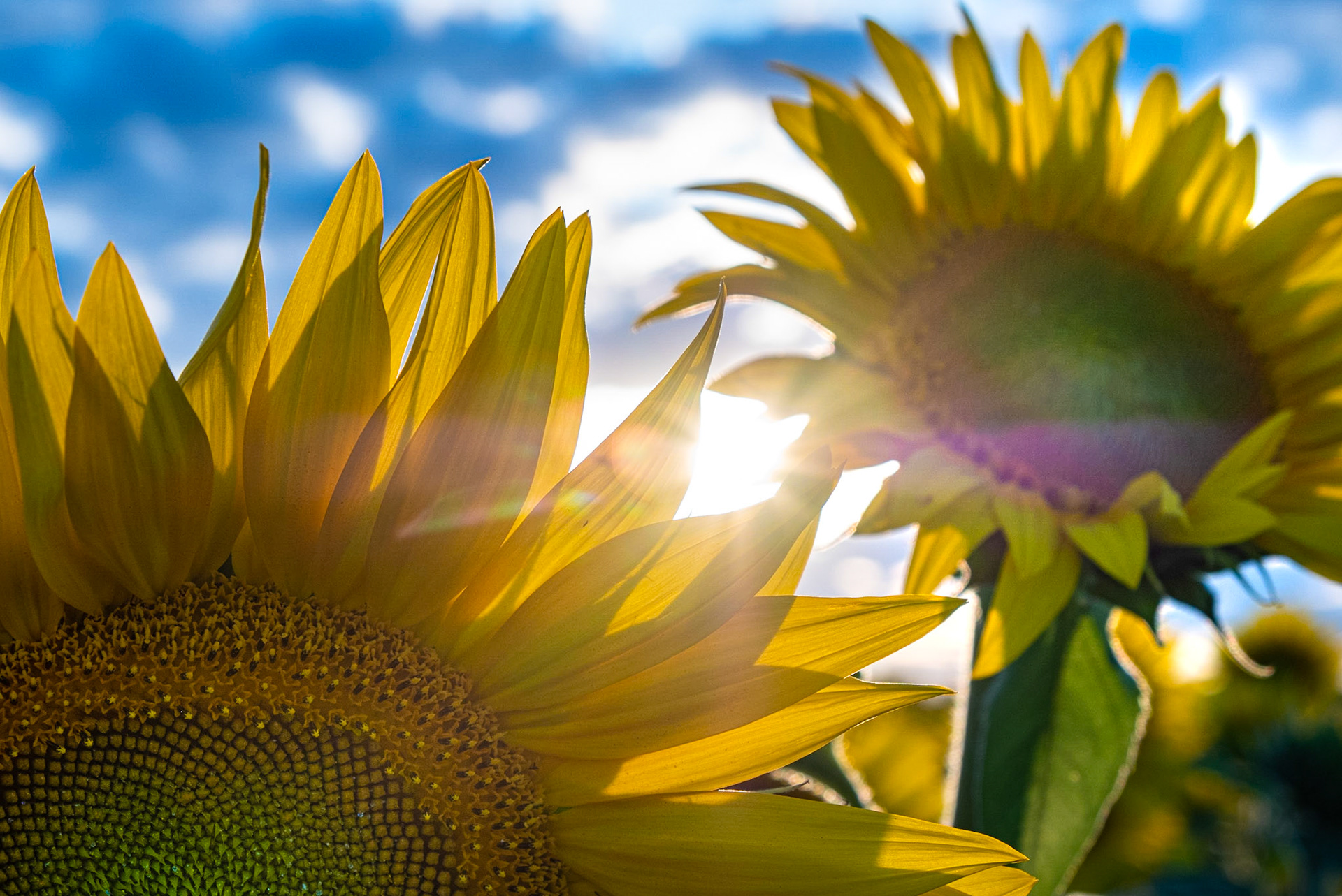 It's Just A Feel Good Kind Of View