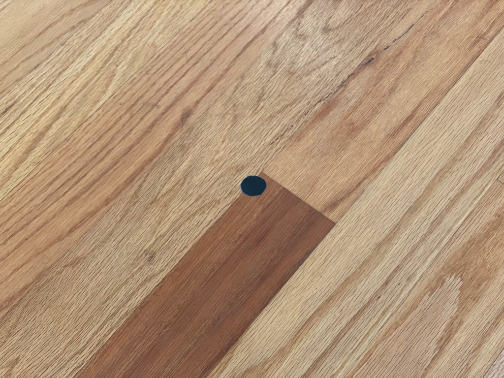 Kenneth Key (Observation) 2019