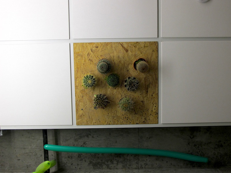 Cactus Ceiling (2010)