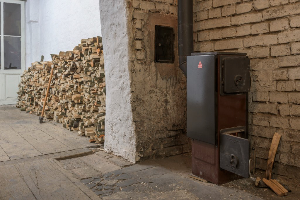 Mystery Bird (2017) Pina, Vienna, Austria