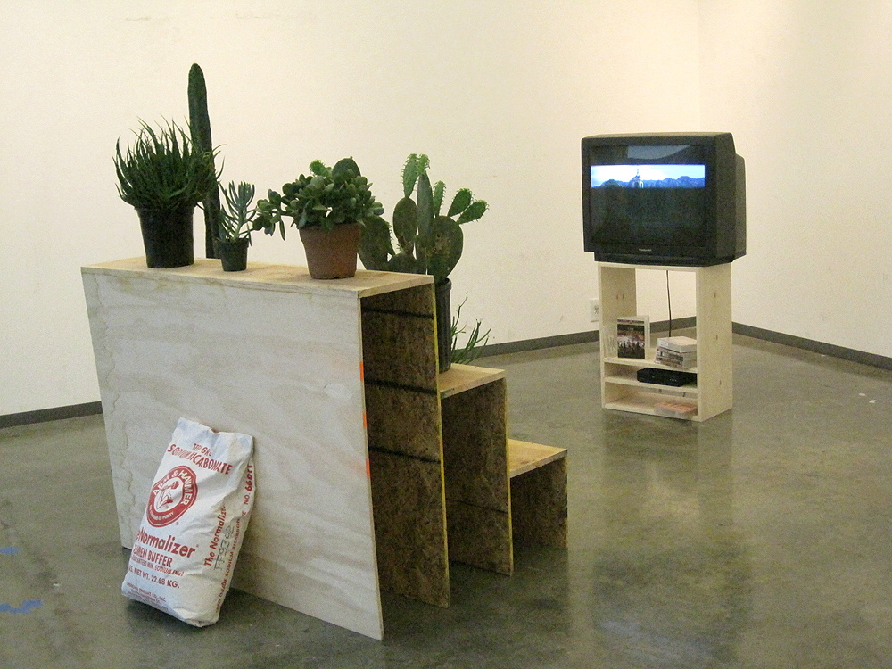 The Normalizer (2010)