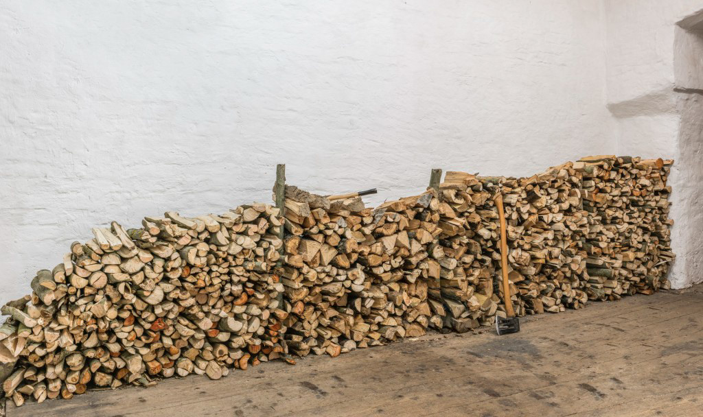 Mystery Bird (2017) Apricot Wood