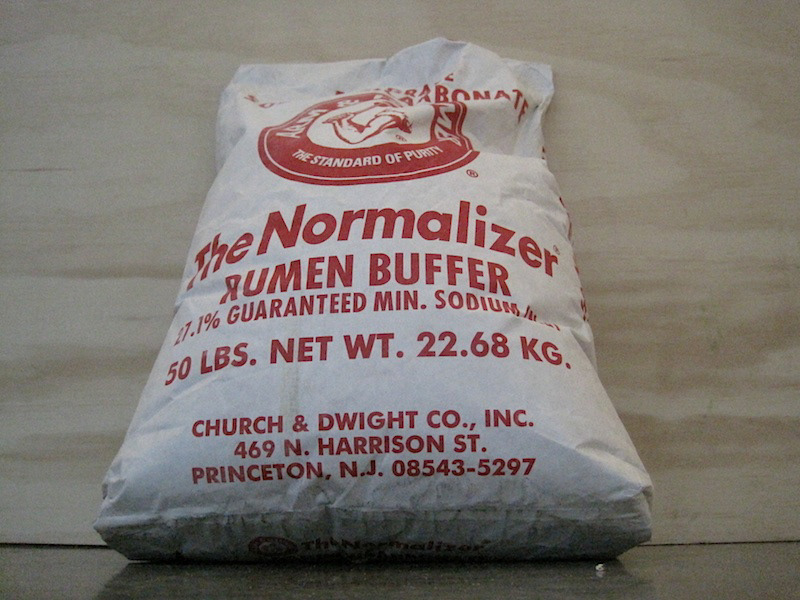 The Normalizer (2010)