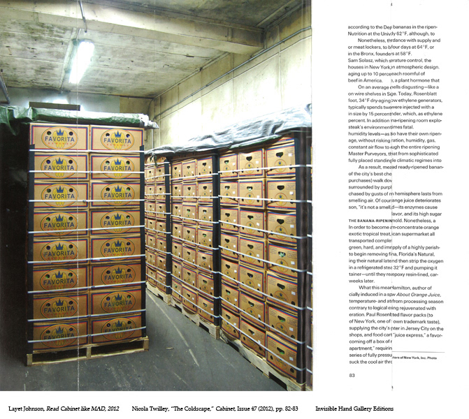 Read Cabinet like Mad (2013) Screenprint