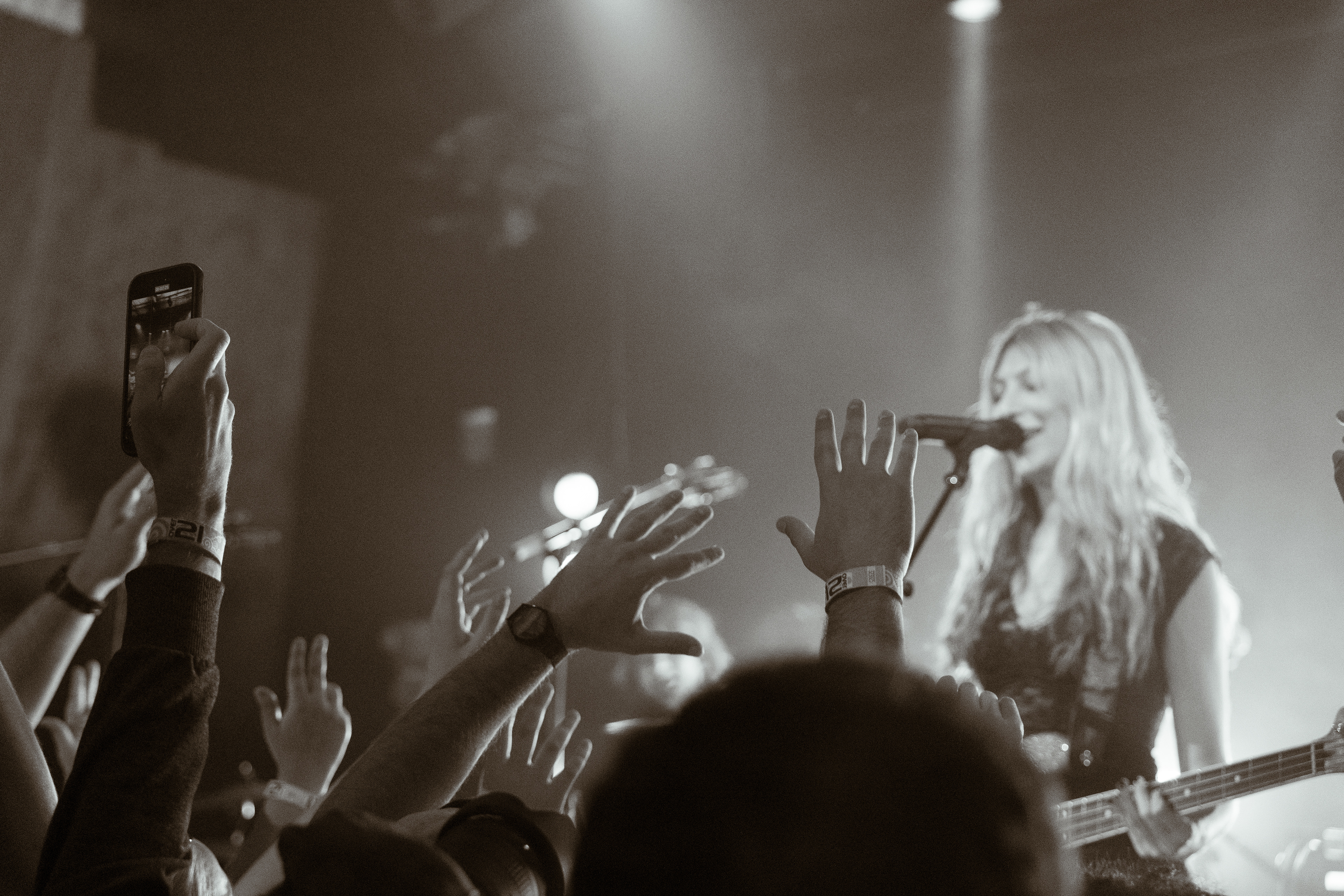 BluDeTiger - Rickshaw Stop - 2024