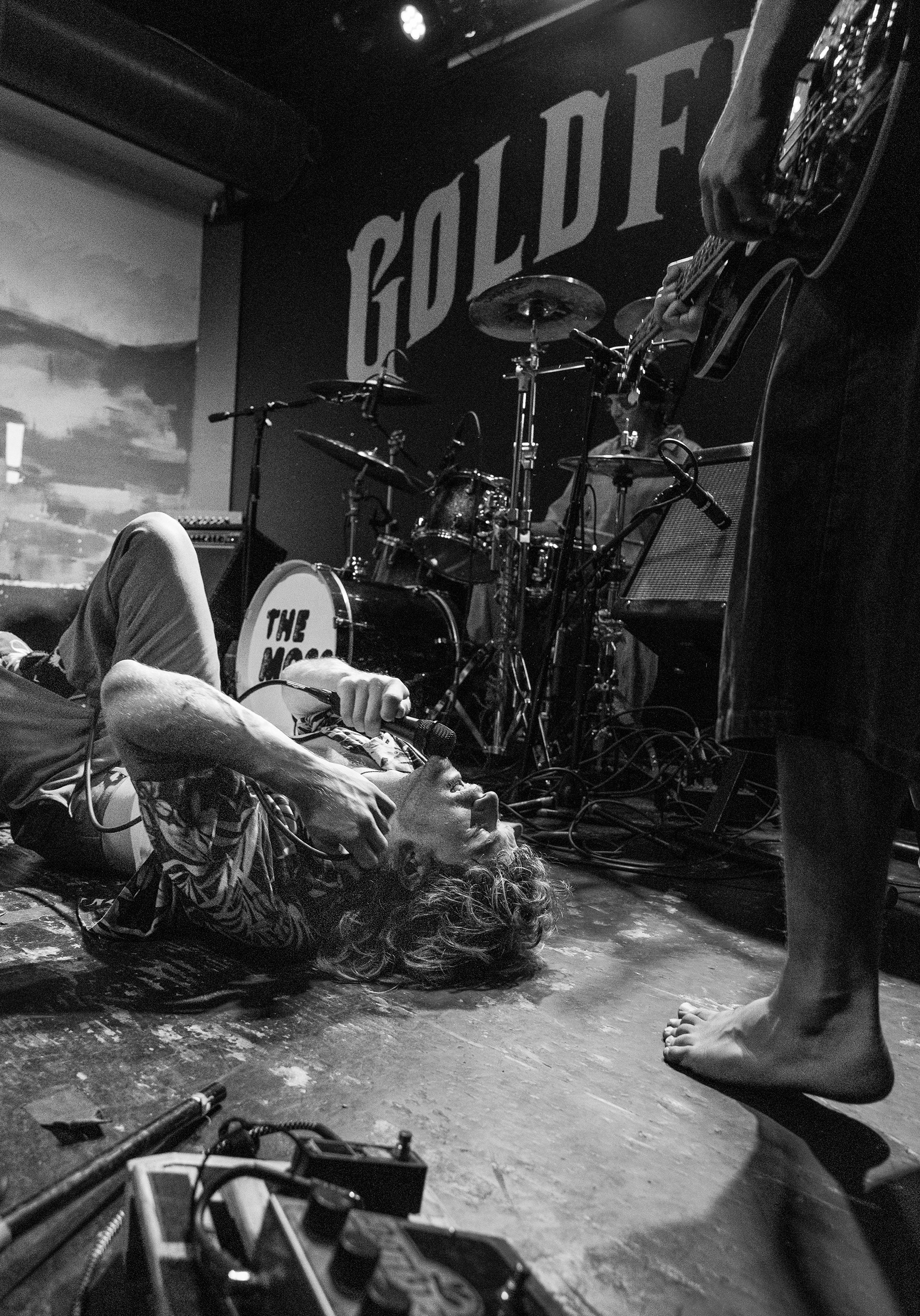 The Moss - Goldfield's - 2024