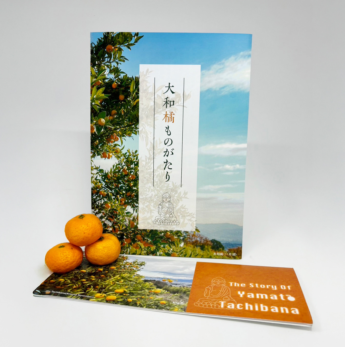 2024　ELE 大和橘パンフレット