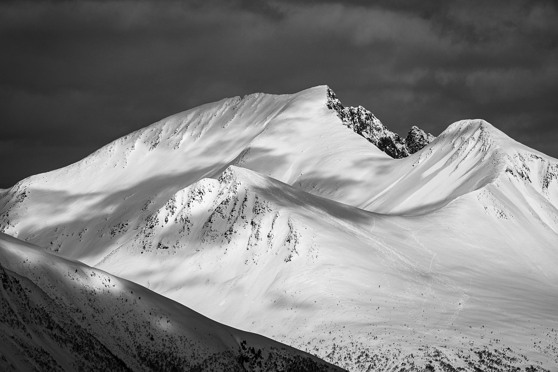 Skispor