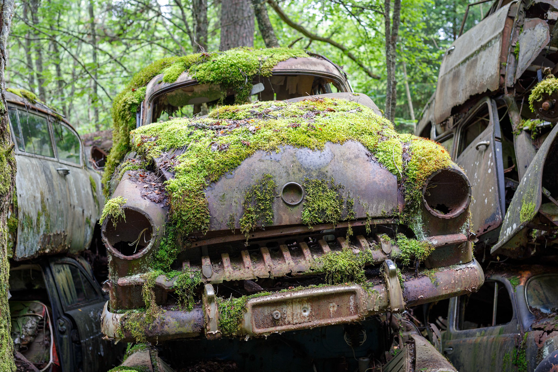 Bilkirkegården ved Båstnäs