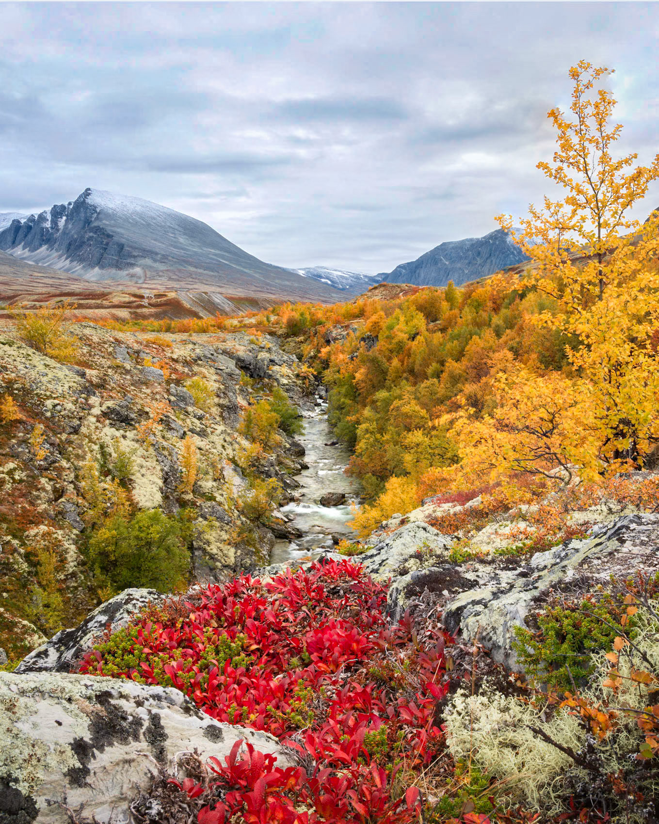 Rondane