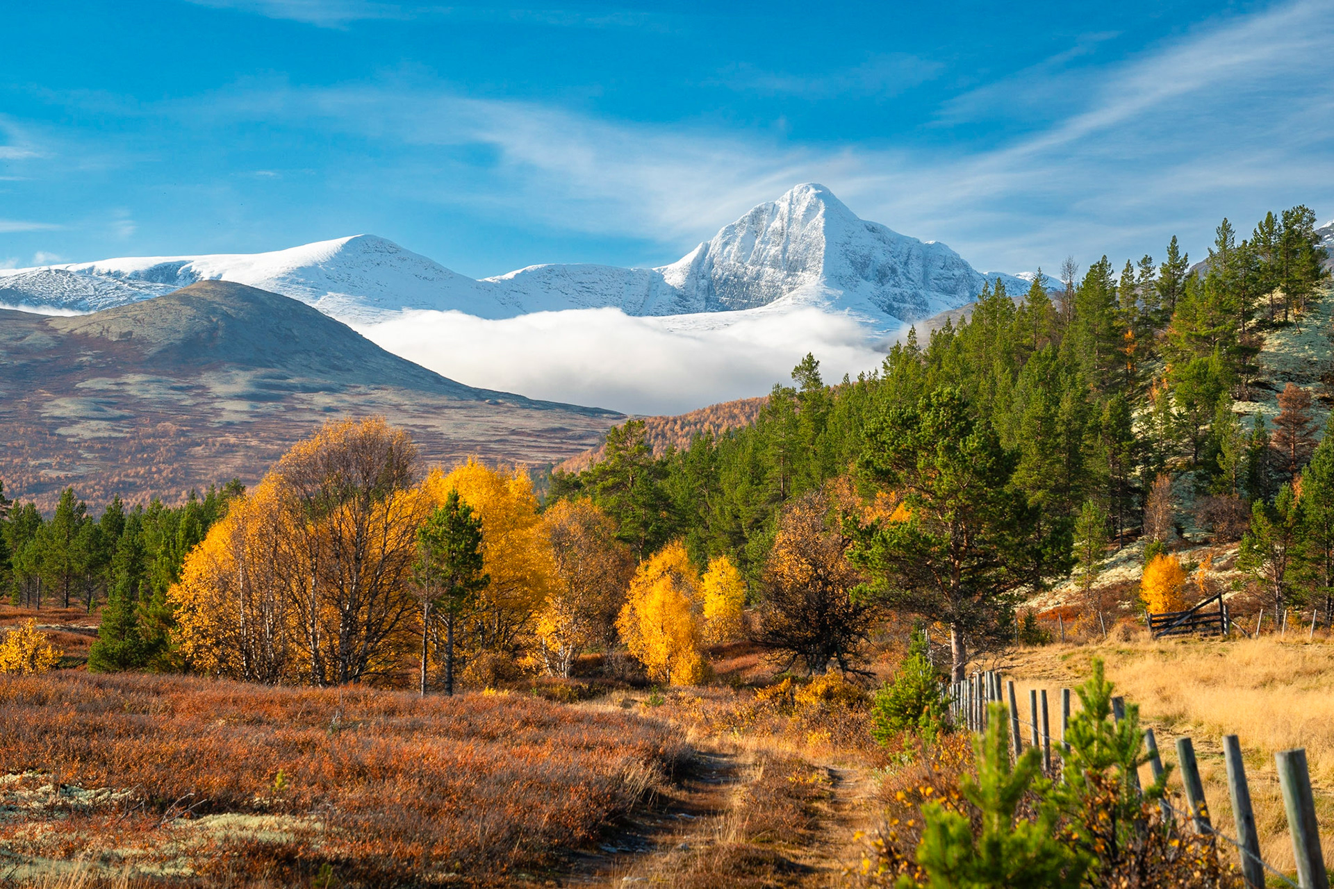 Rondane