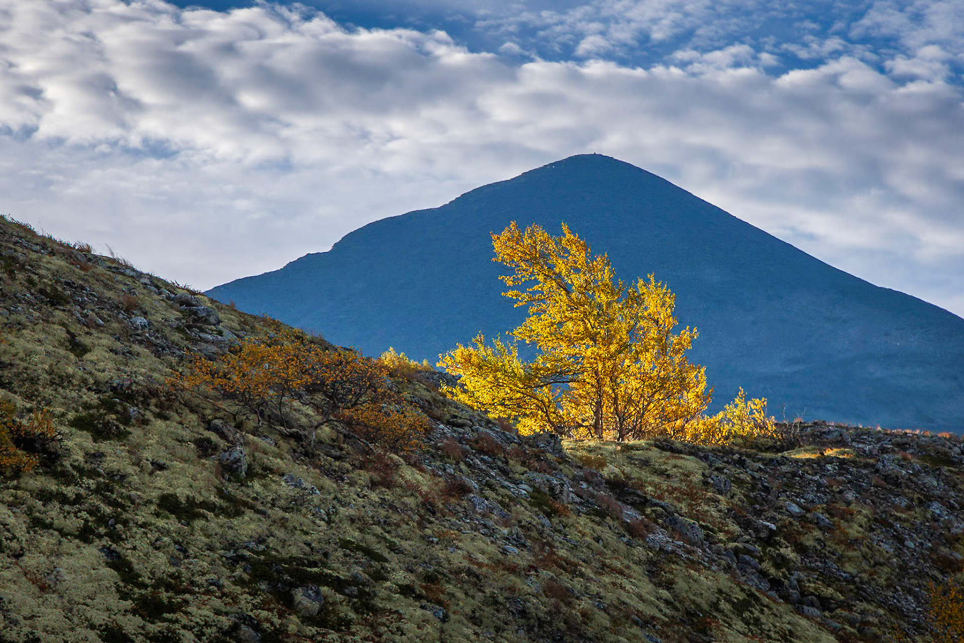 Rondane