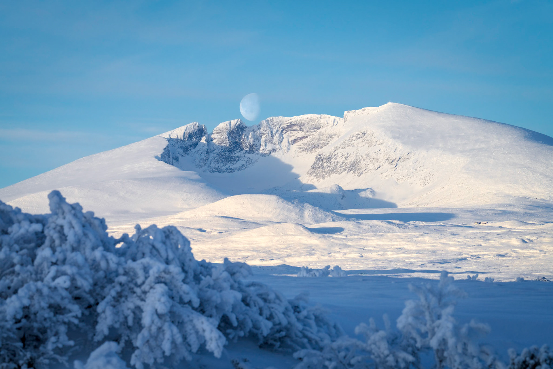 Snøhetta