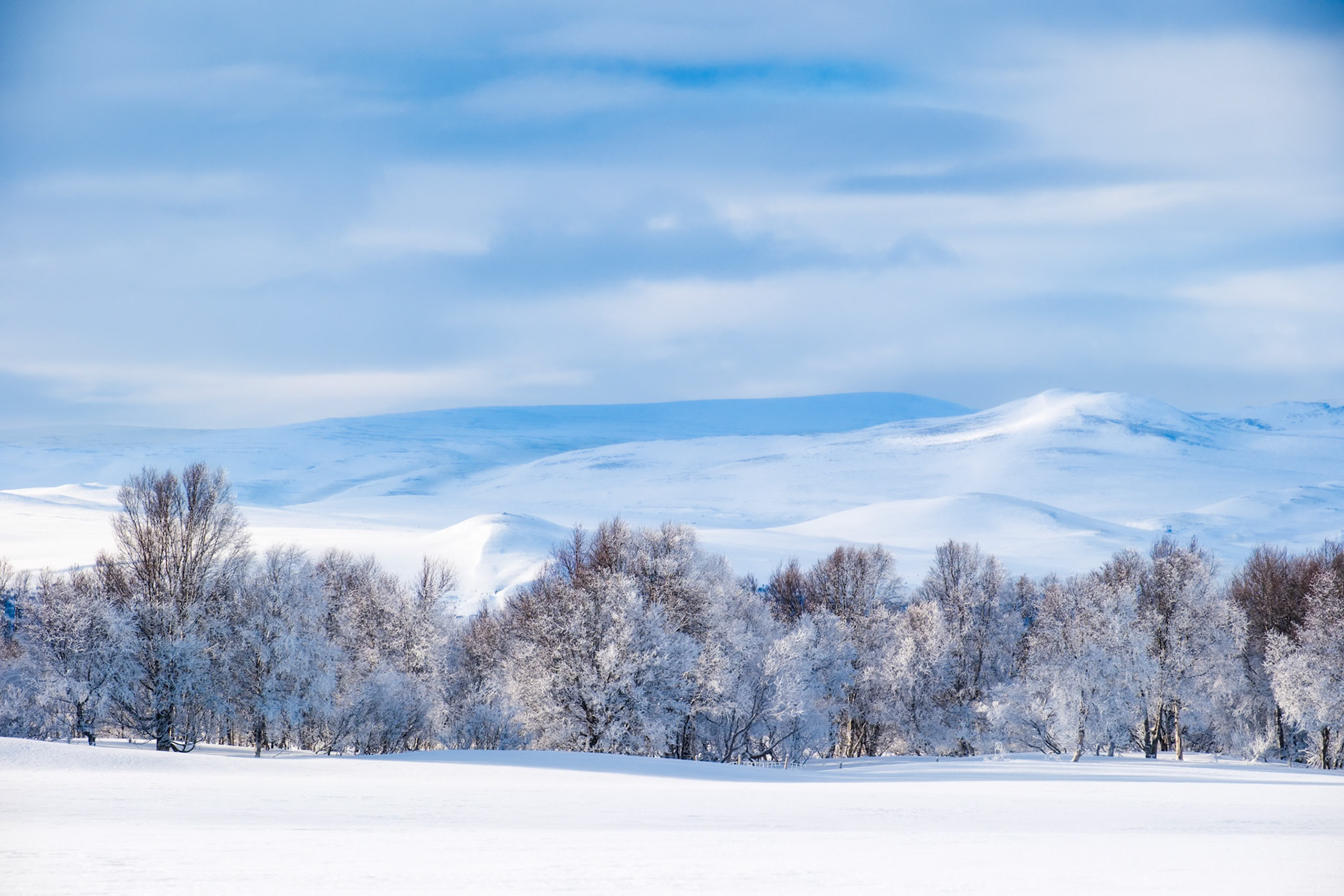 Vinter