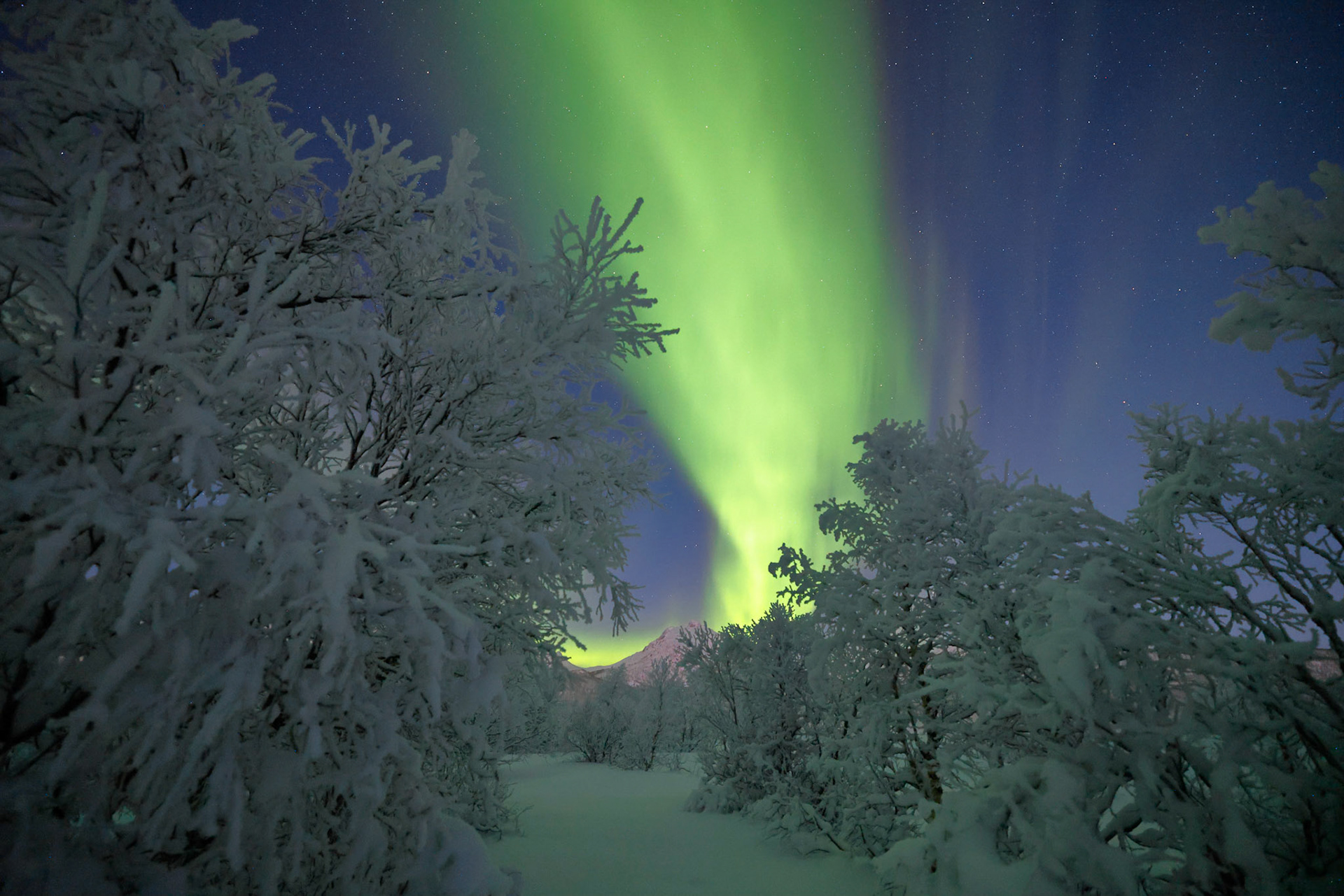 Nordlys