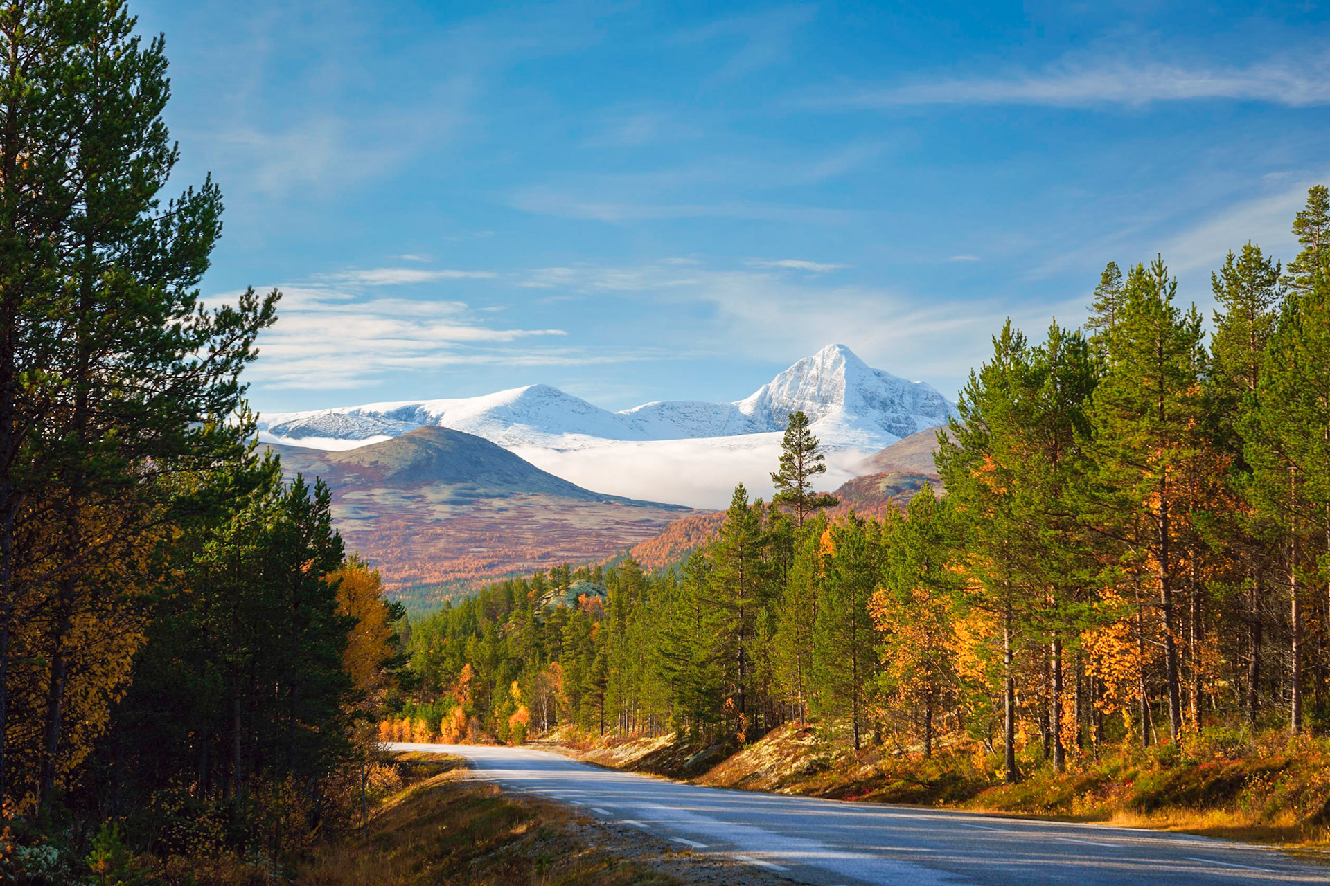 Rondane