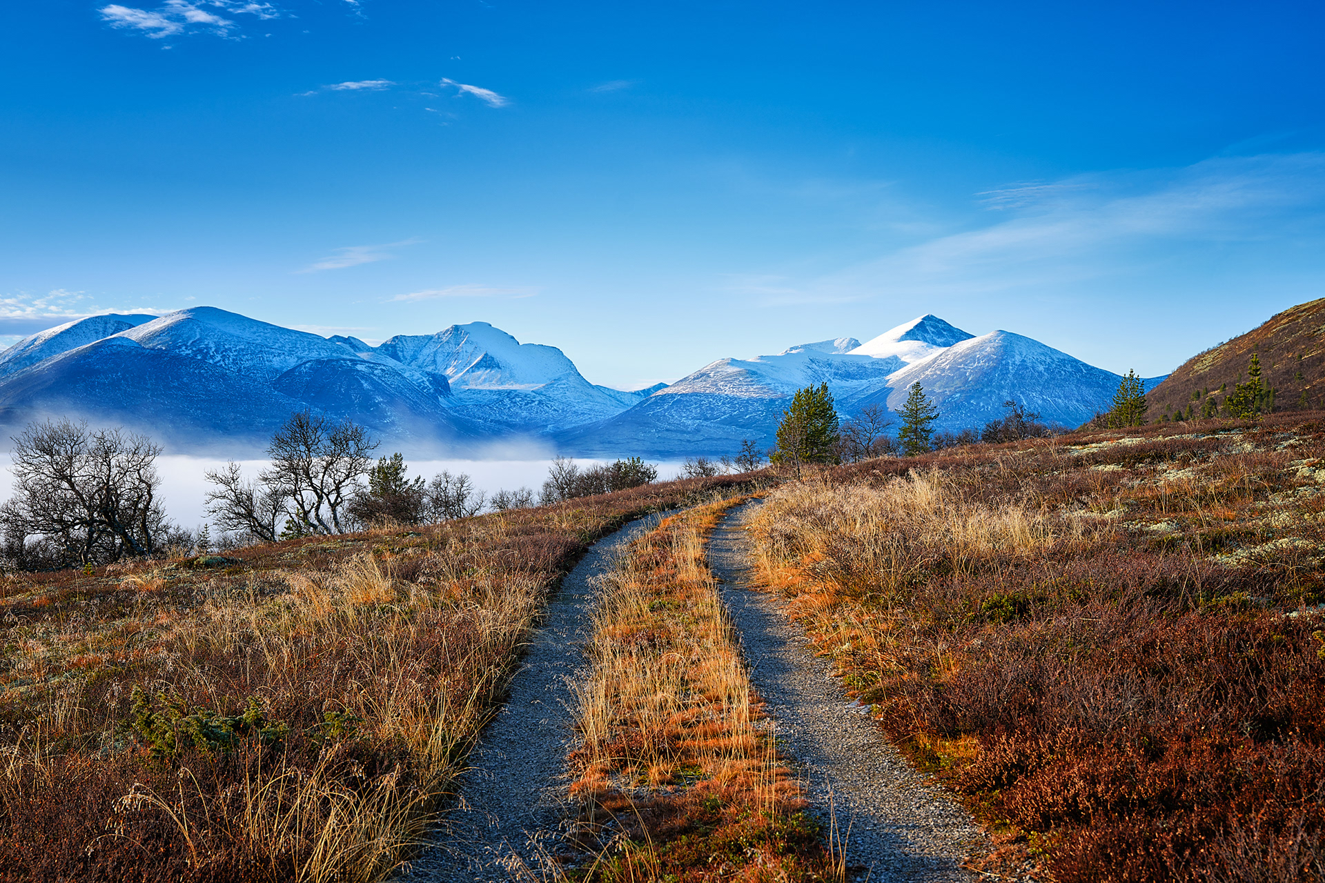 Rondane som kulisser
