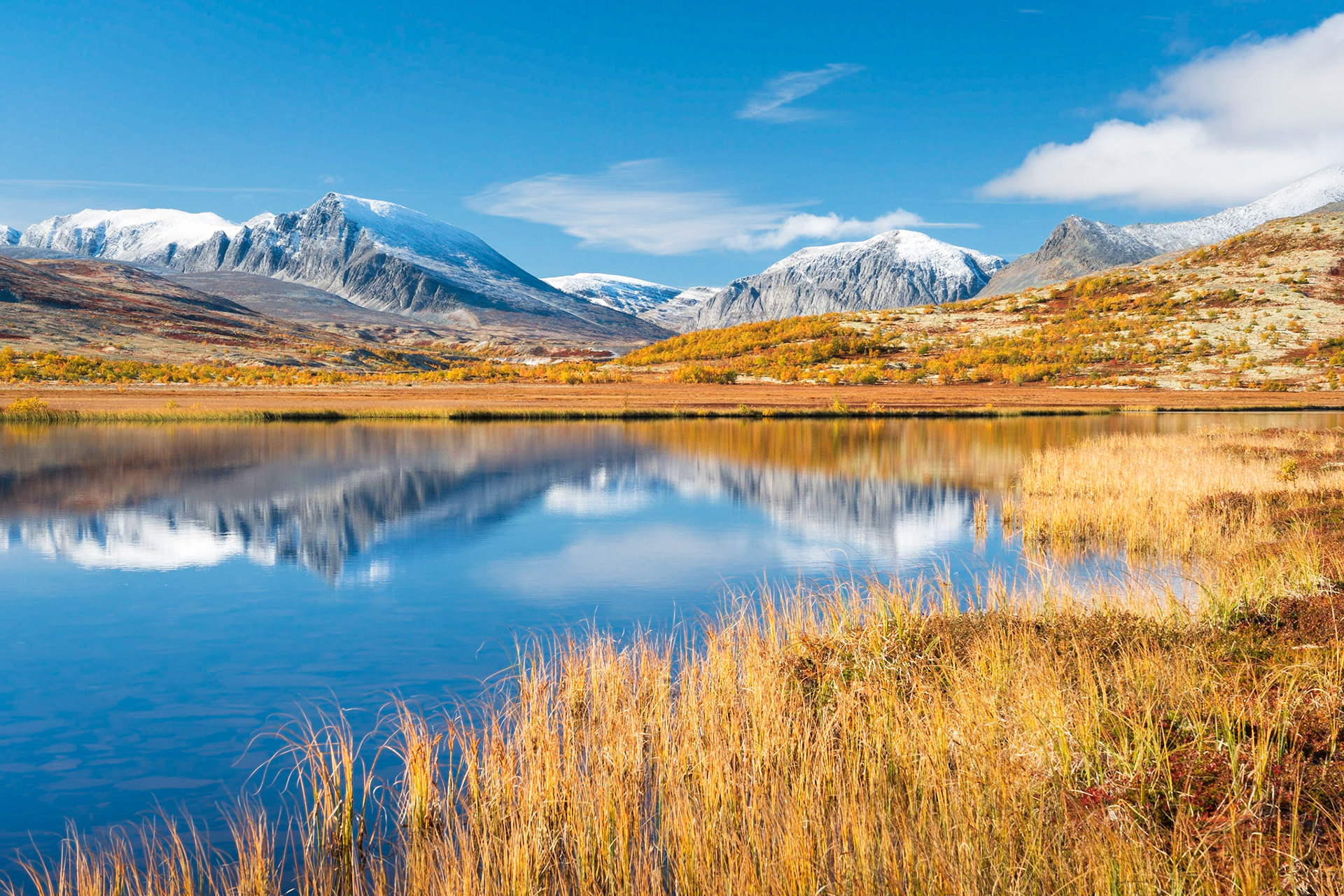 Rondane