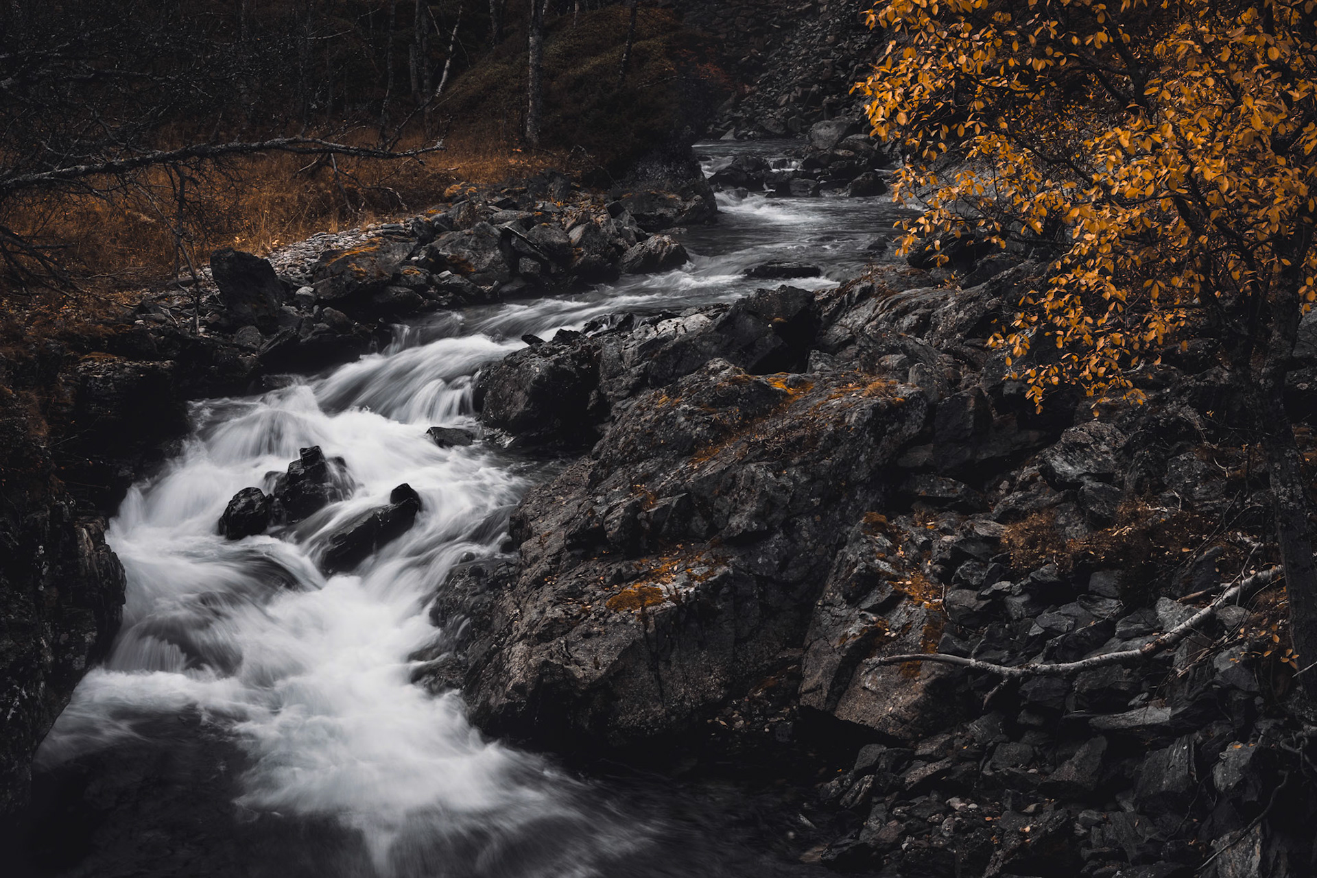 Drivdalen