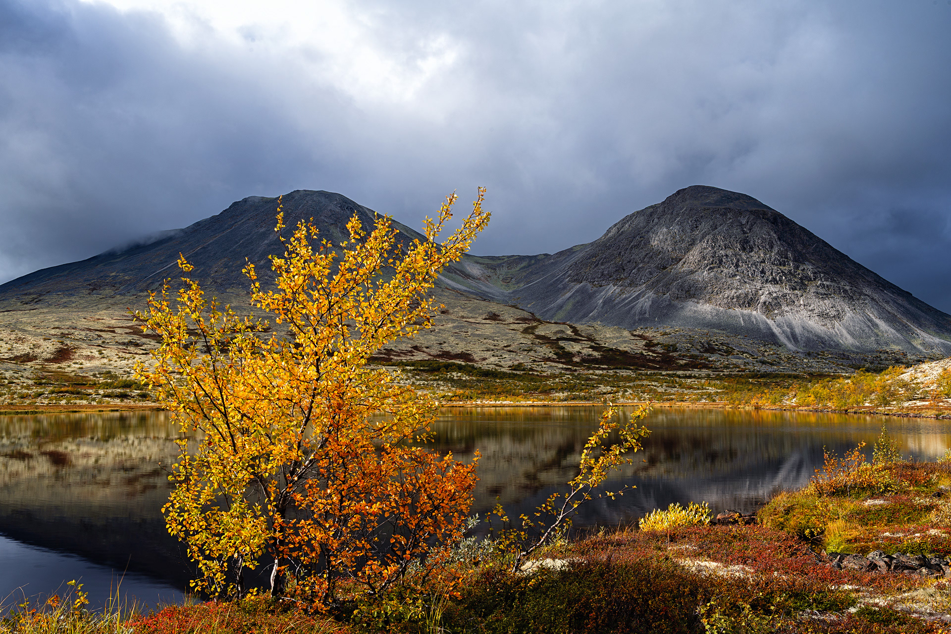 Dørålen