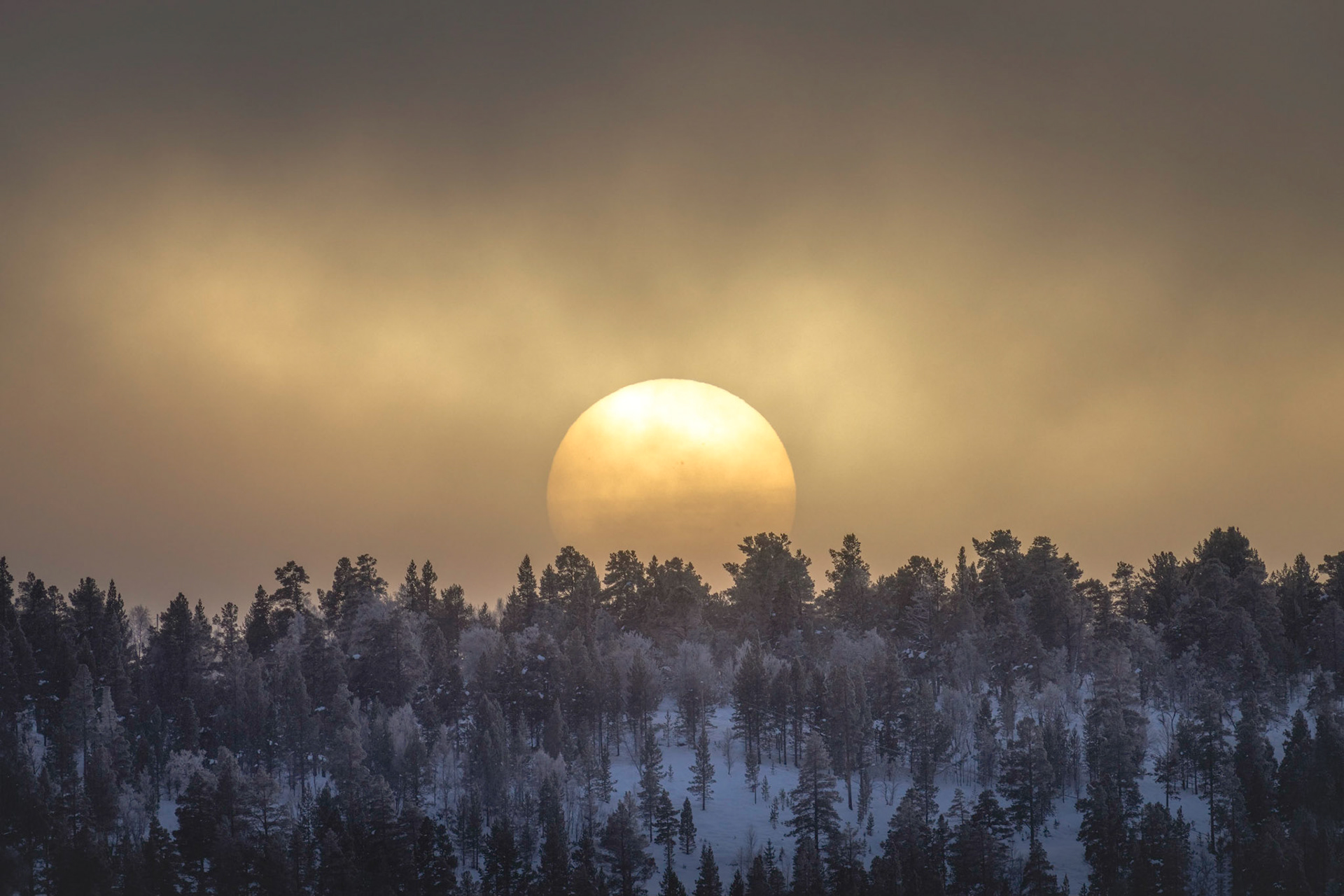Sol