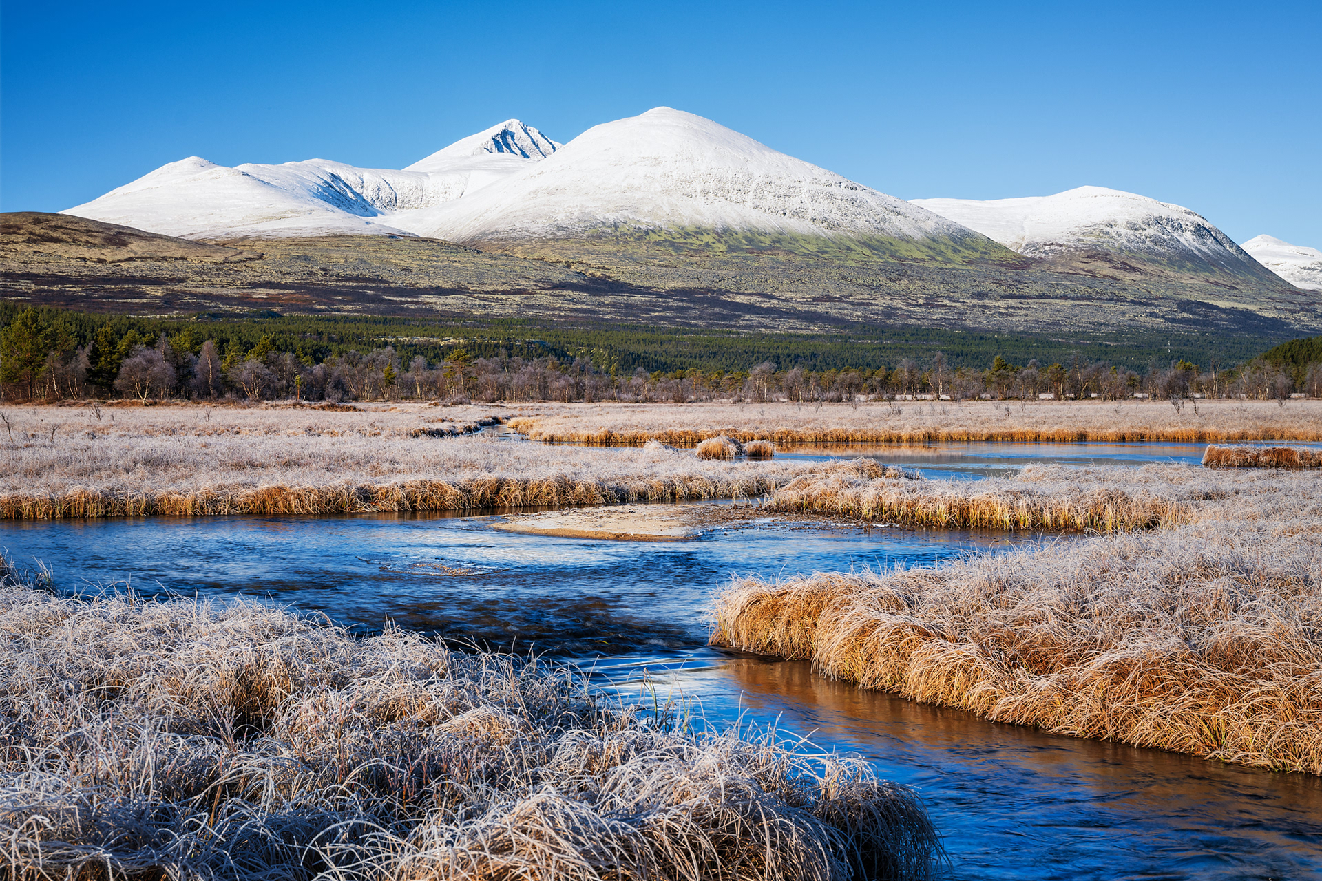 Rondane 