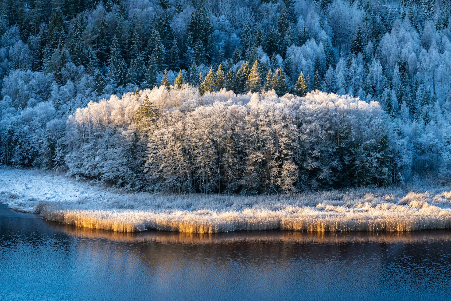 Barfrost