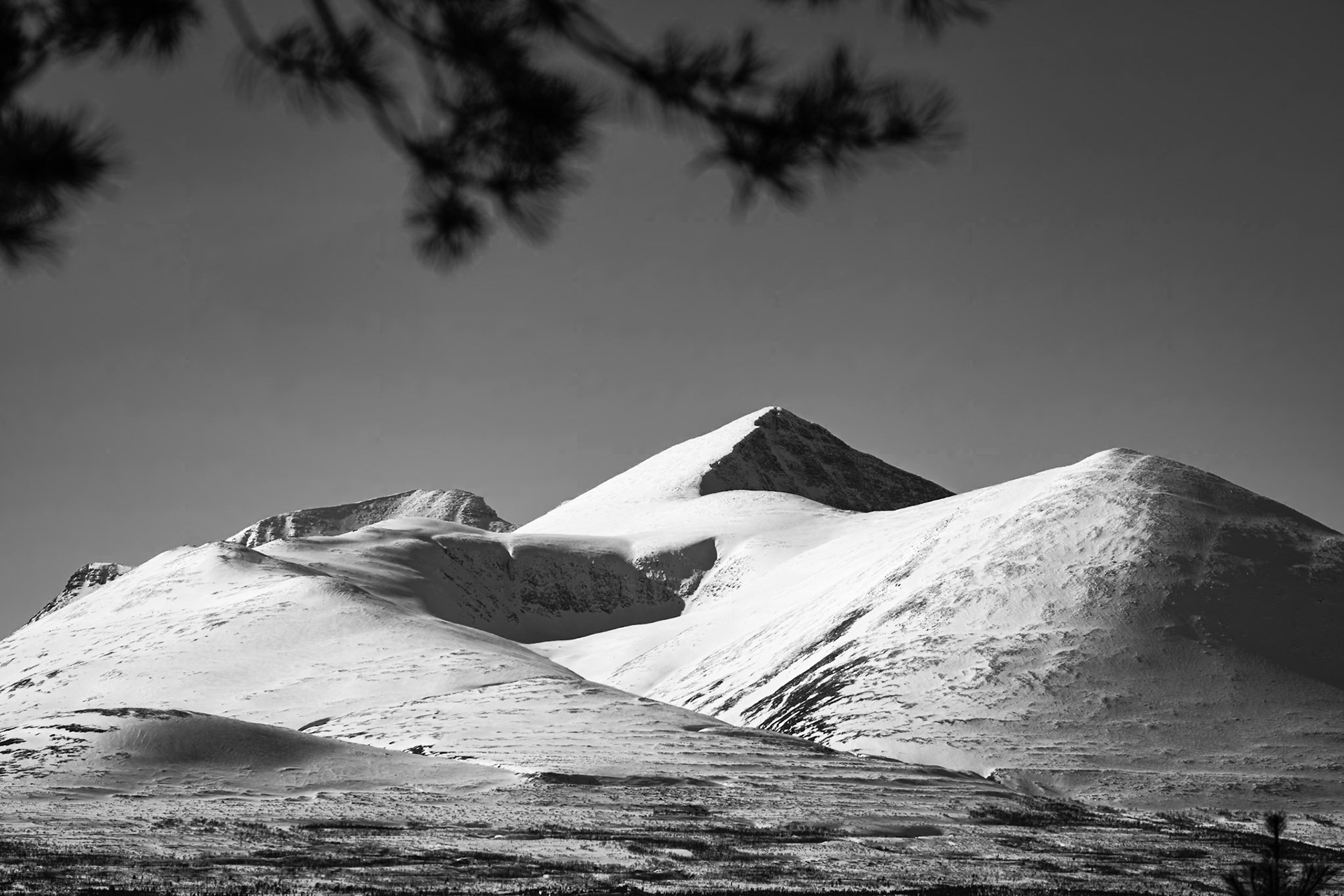 Rondane