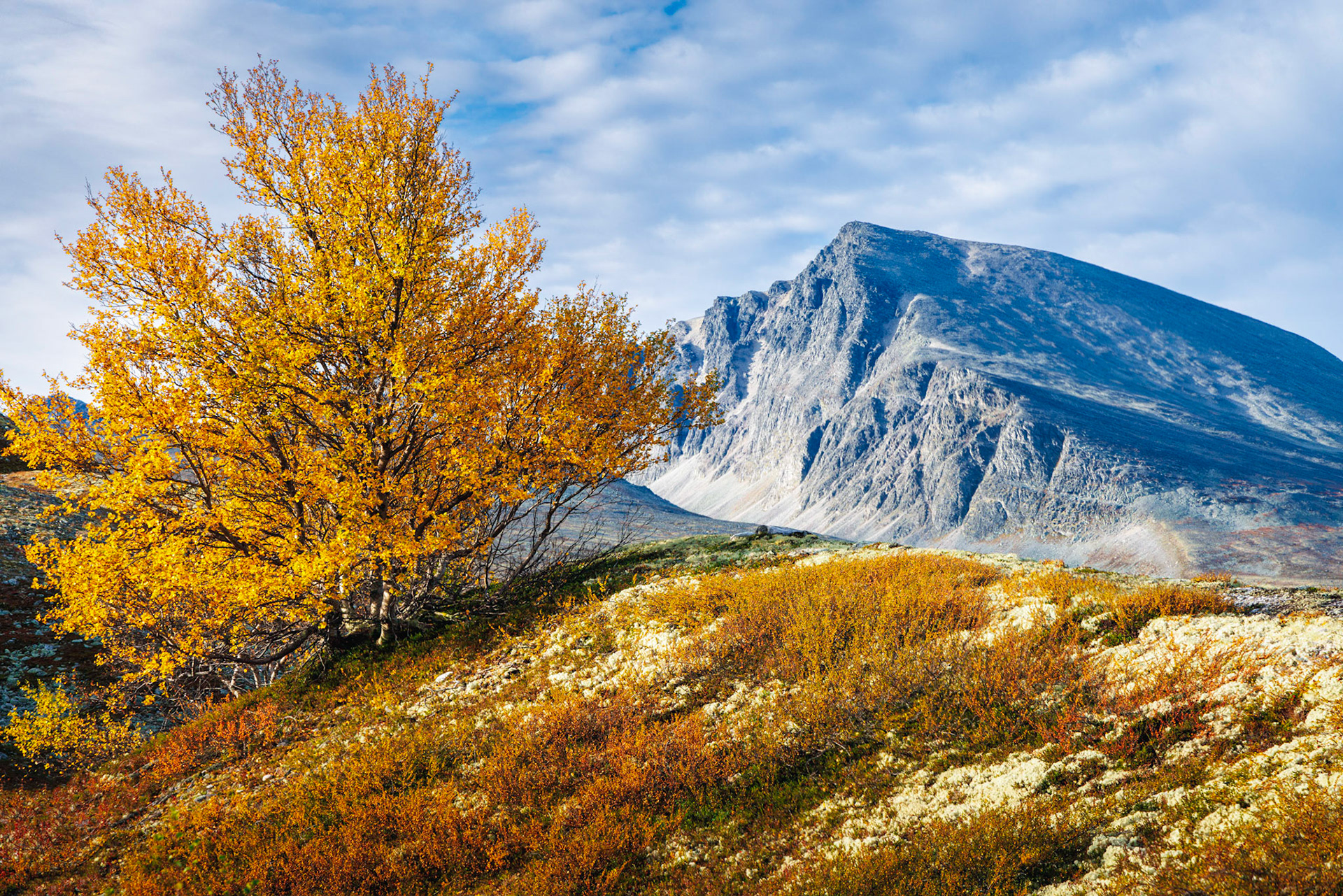 Rondane