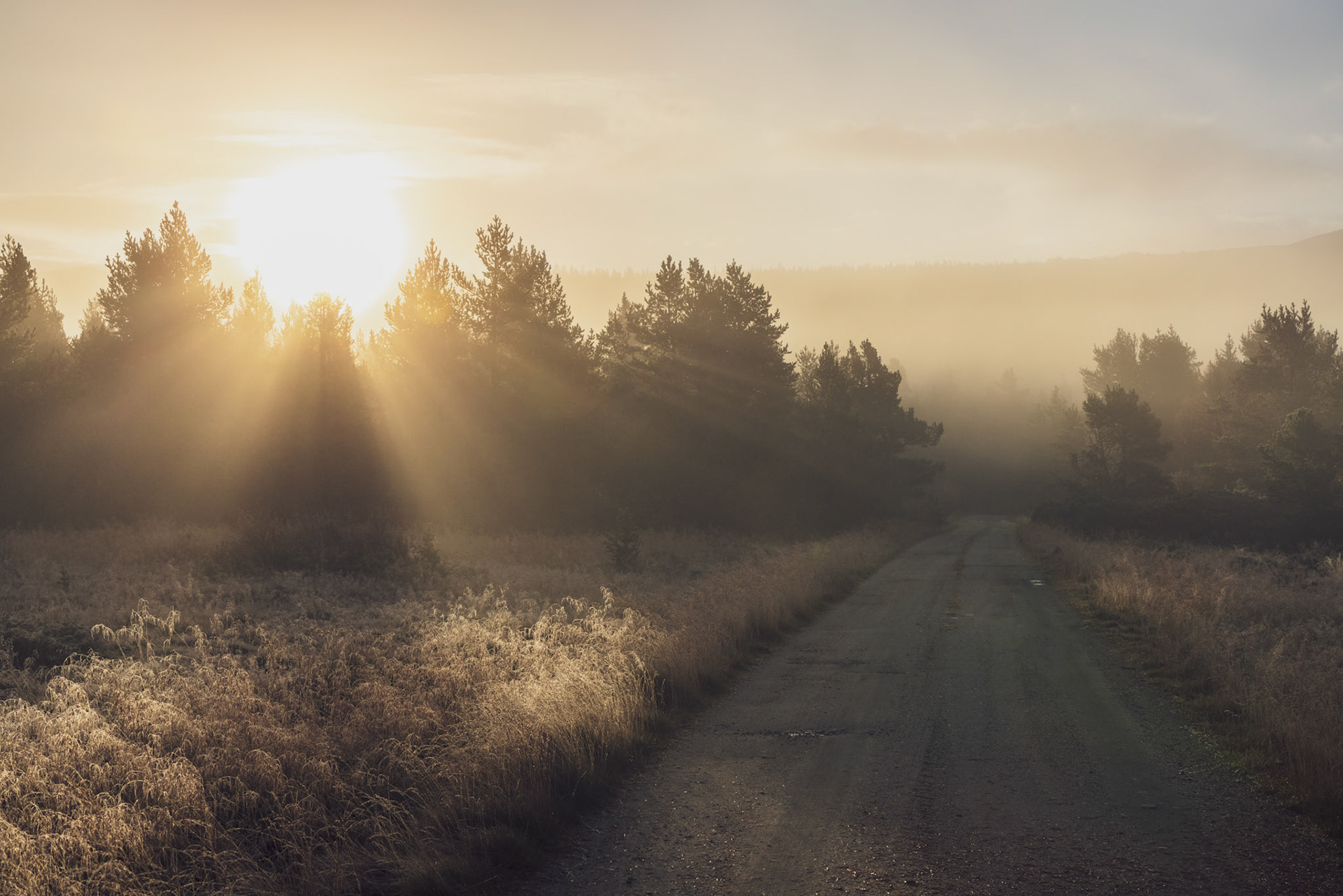 Morgensol