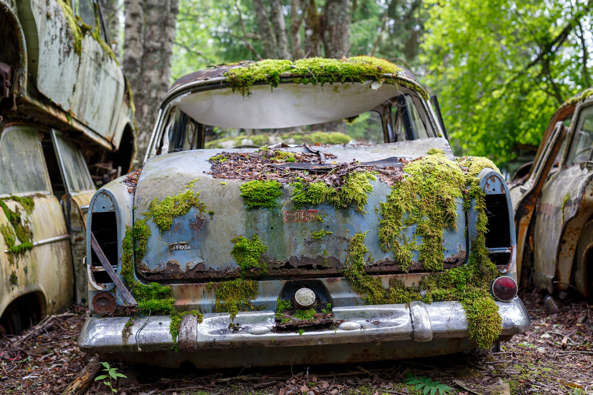 Bilkirkegården ved Båstnäs