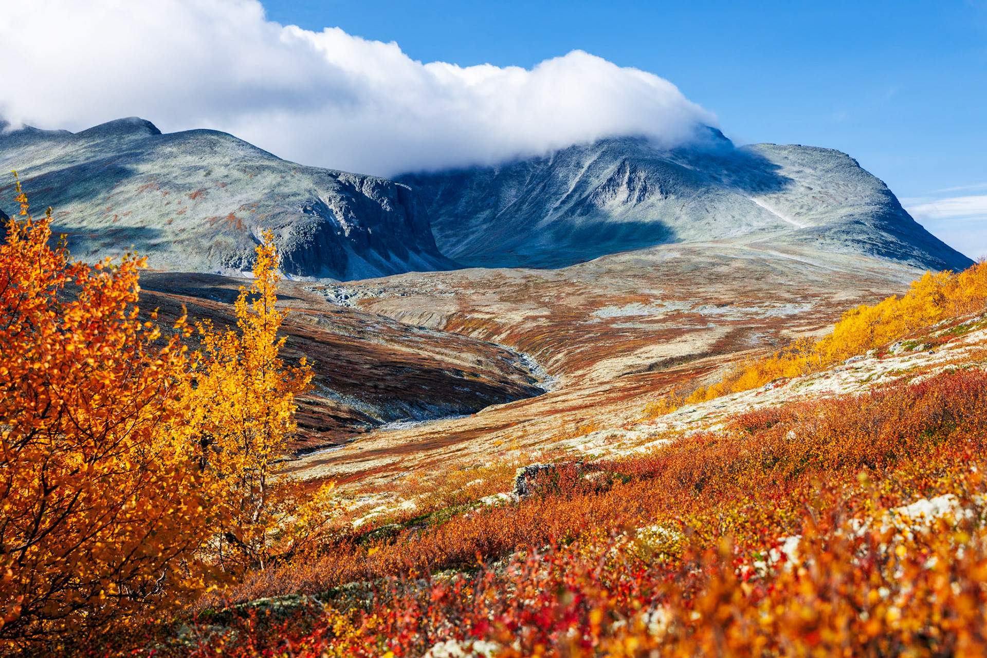 Rondane