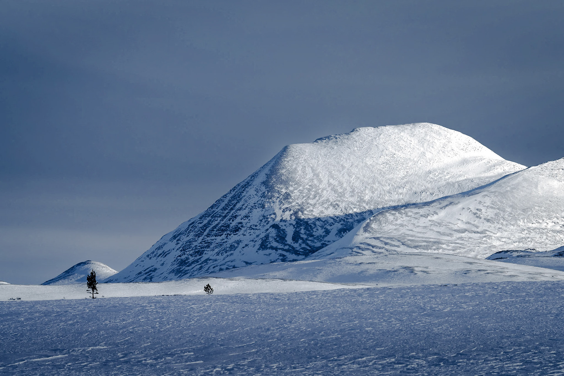 Fjellet