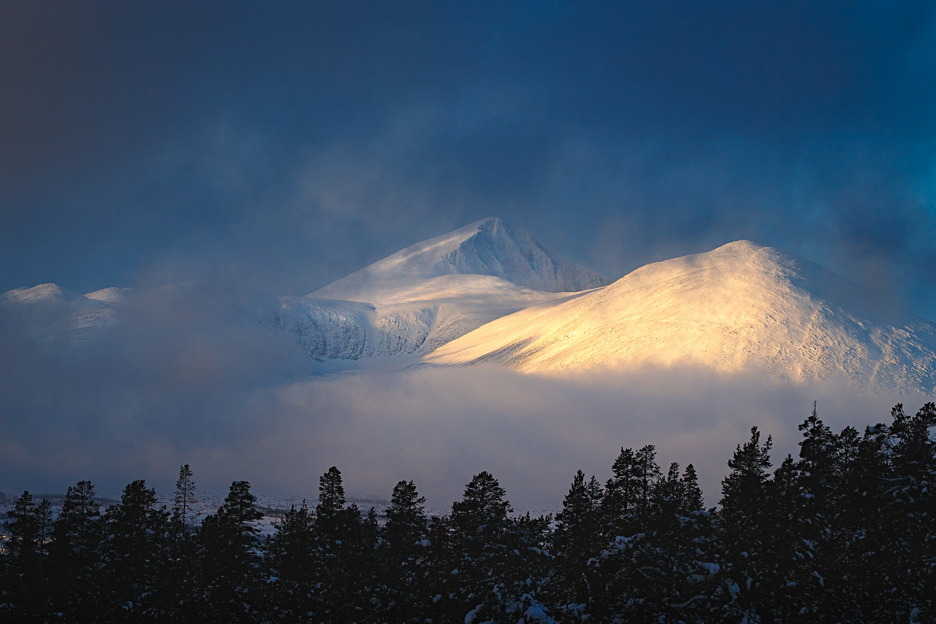Rondane