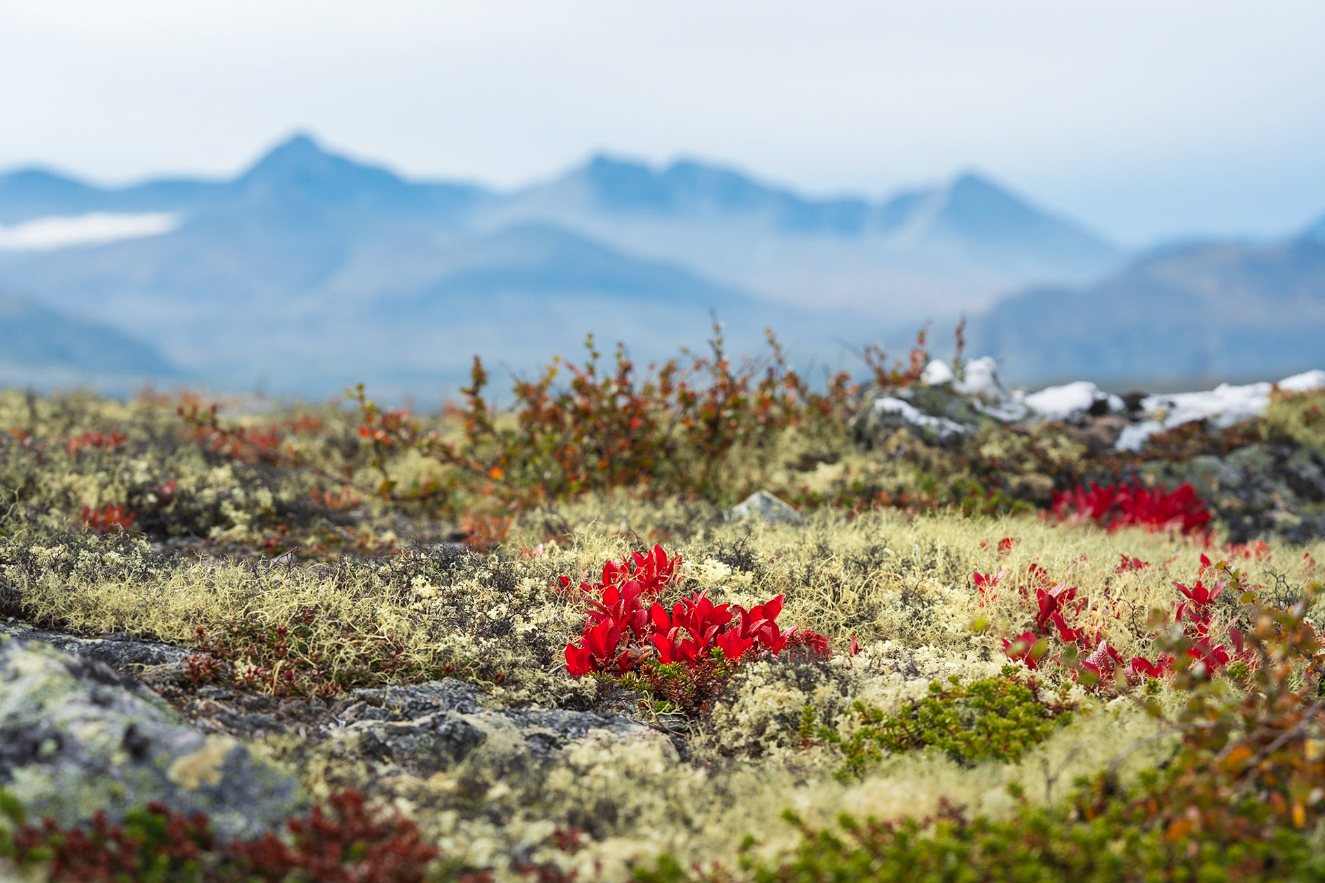 I fjellet