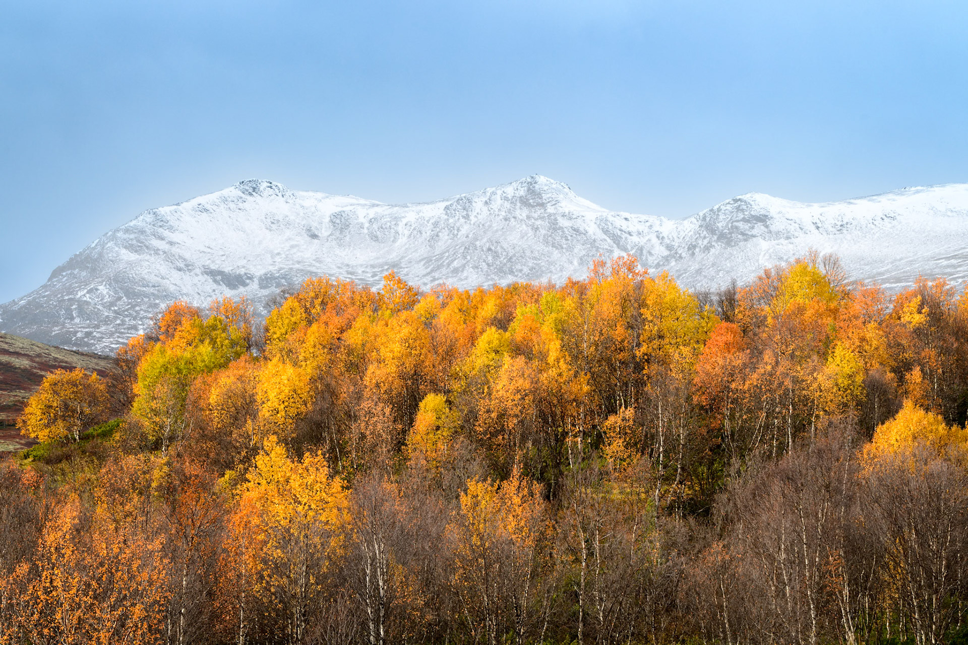 Høst i fjellet