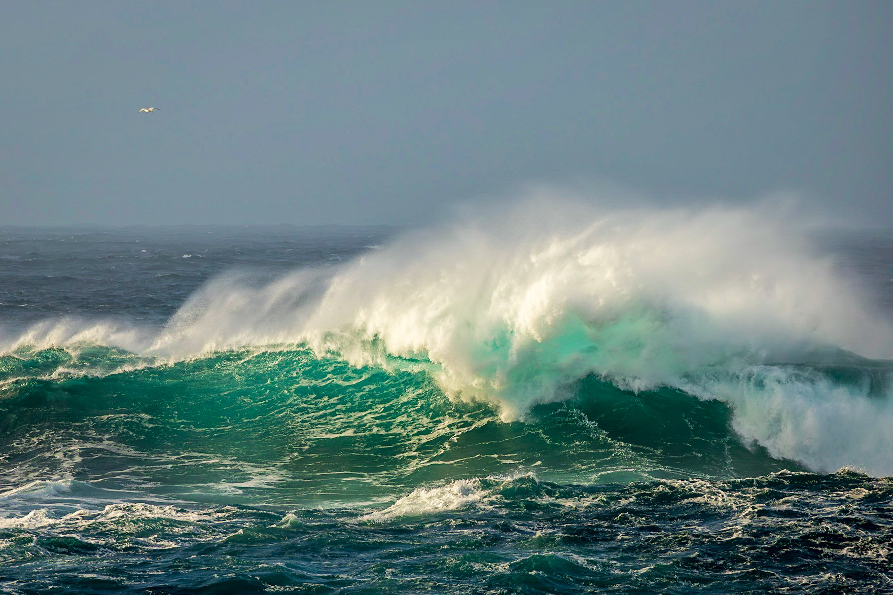 Norskehavet