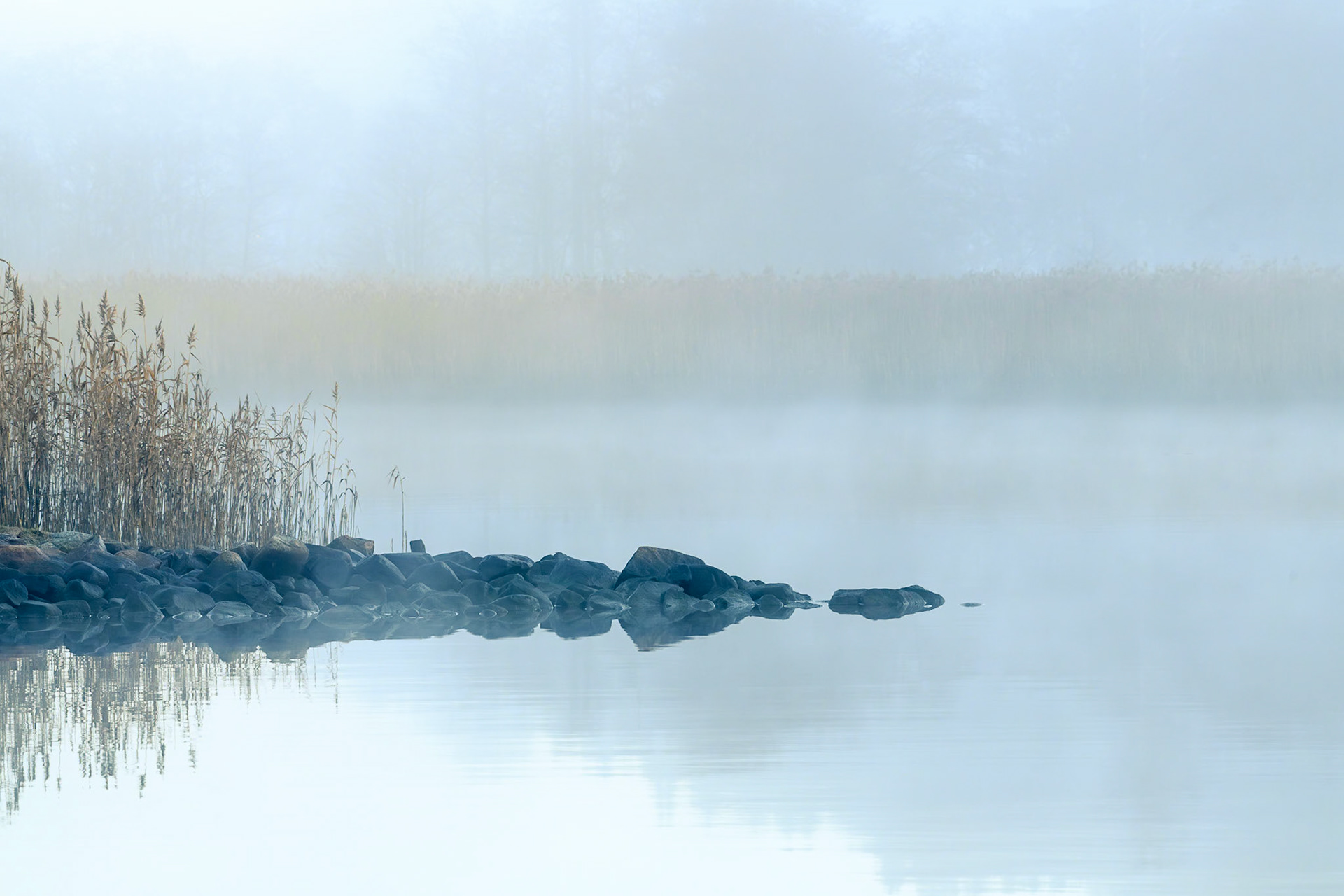 Stille morgen